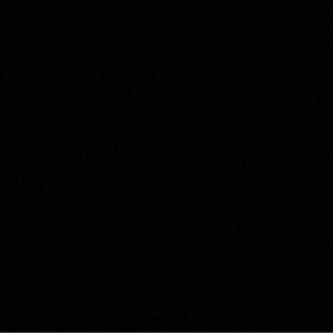 Meet your Posher, Omari